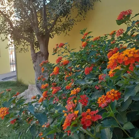 A In Zona Residenziale 풀라