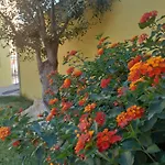 A In Zona Residenziale Pula