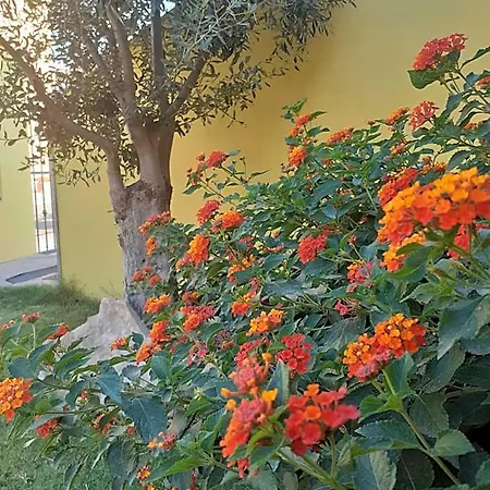 A In Zona Residenziale Pula